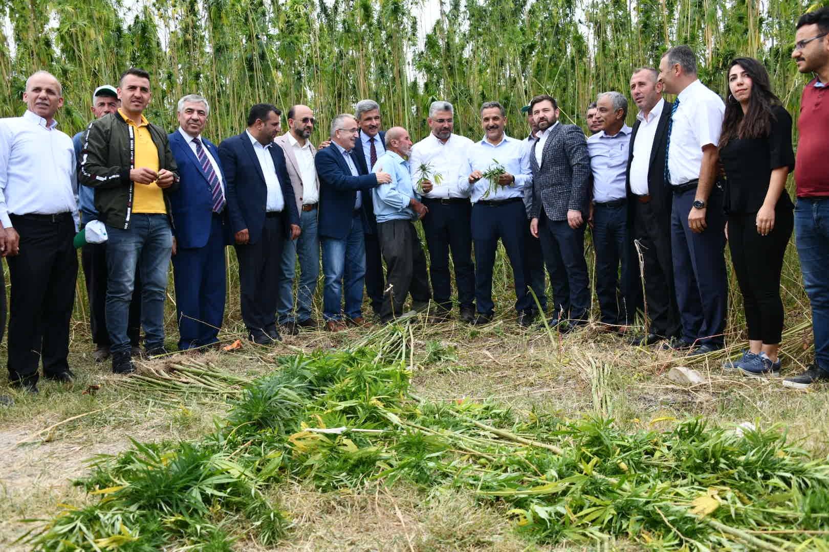 Keneviri hem üretecek hem işleyeceğiz 